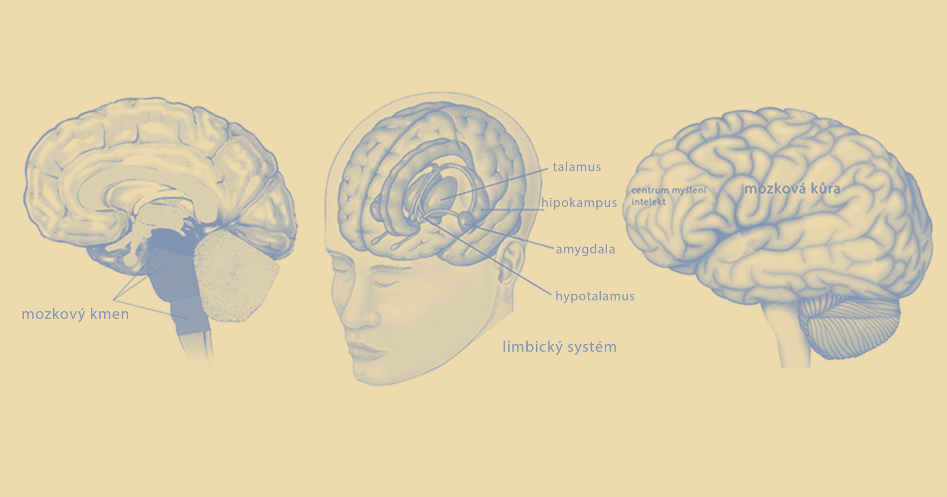 Mozek – tři centra